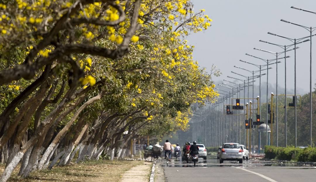 chandigarh