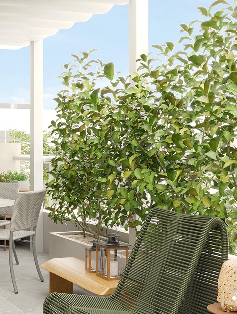 The Magique Homes 3 BHK Premium Residence - Gallery